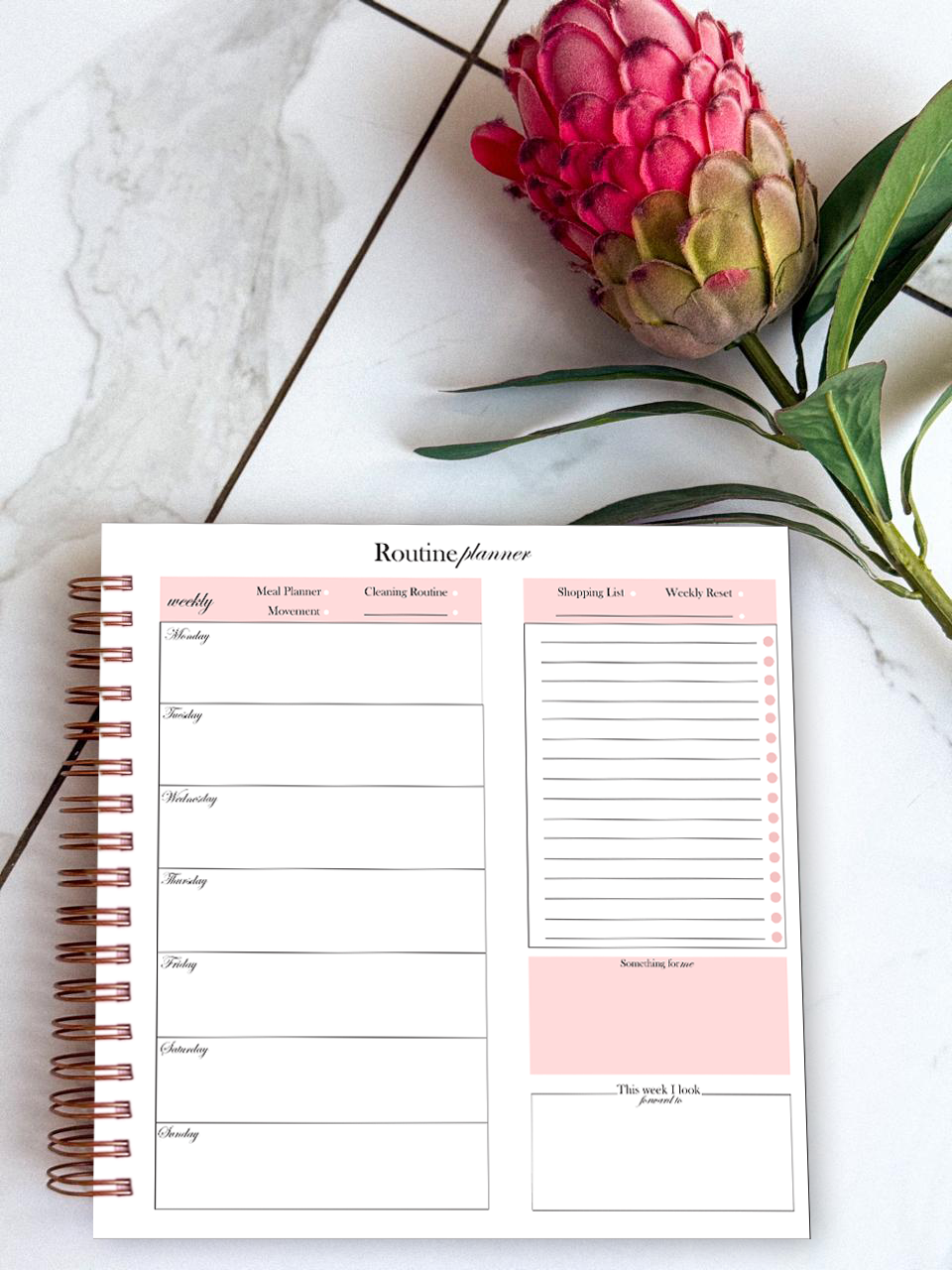 "Full color 2026 planner with monthly tab dividers"