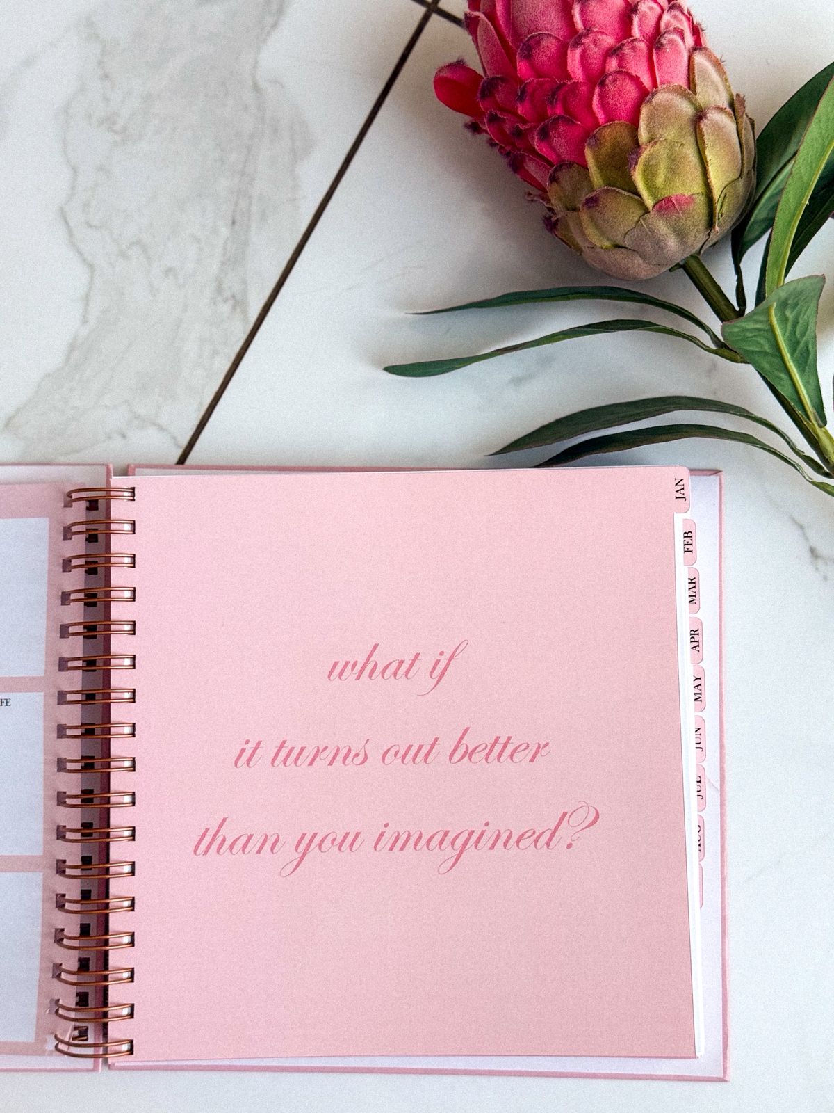 "Full color 2026 planner with monthly tab dividers"
